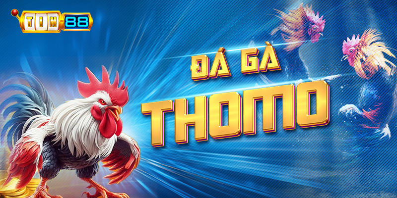 Đá gà Thomo