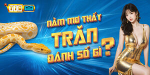 Mơ thấy trăn đánh số gì?