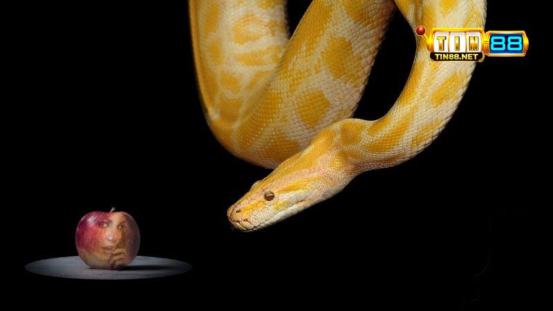 Mơ thấy rắn đánh con gì?