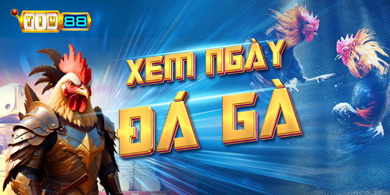 Cách xem ngày đá gà cầu may