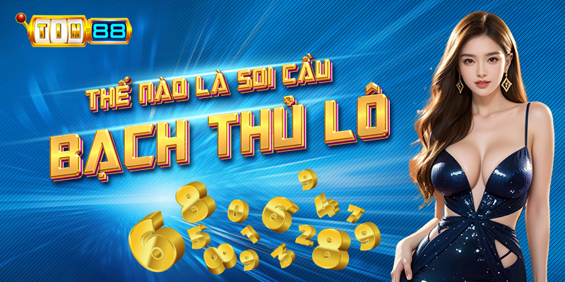 Thế nào là soi cầu bạch thủ lô