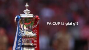 FA Cup là gì?