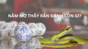 Nằm mơ thấy rắn đánh con gì?